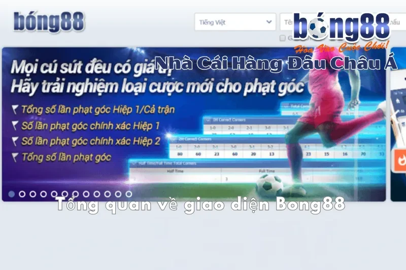 Giao Diện Bong88: Đánh Giá Web & App, Giải Mã Từng Cột Bảng Kèo - sivox.website