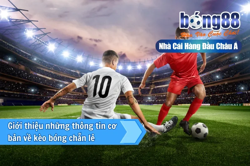 Kèo Chẵn Lẻ Là Gì? Thống Kê Phân Bố & Cách Chơi Đúng Vai Trò 2026 - sivox.website