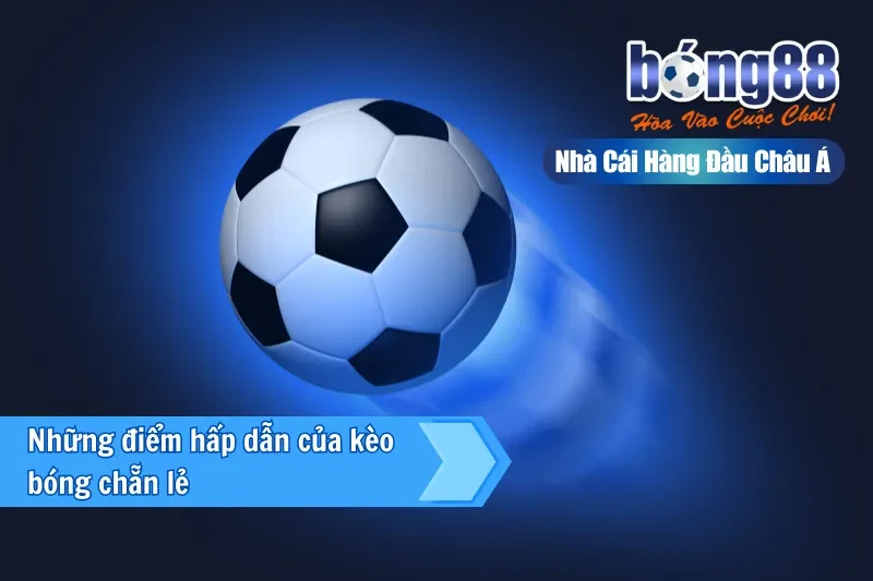 Kèo Chẵn Lẻ Là Gì? Thống Kê Phân Bố & Cách Chơi Đúng Vai Trò 2026 - sivox.website