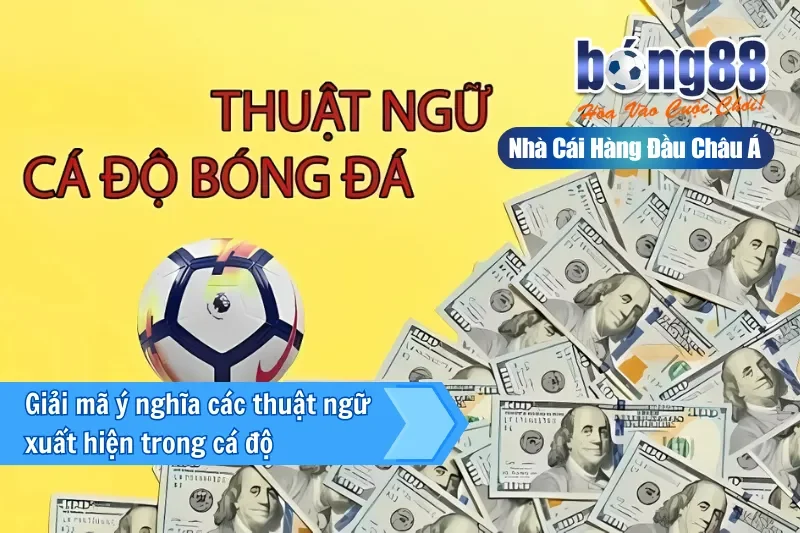 Kèo Chấp Là Gì? Giải Nghĩa Từng Mức Từ 0 Đến 2 Trái & Cách Chọn Cửa - sivox.website Kèo Chấp Là Gì? Giải Nghĩa Từng Mức Từ 0 Đến 2 Trái & Cách Chọn Cửa - sivox.website