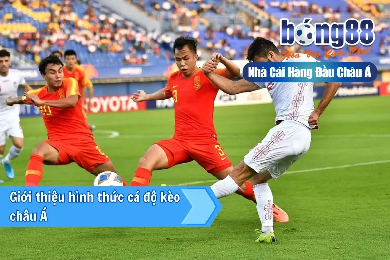 Kèo Châu Á Là Gì? Cách Đọc, Bảng Tính Tiền & Kinh Nghiệm 2026 - sivox.website
