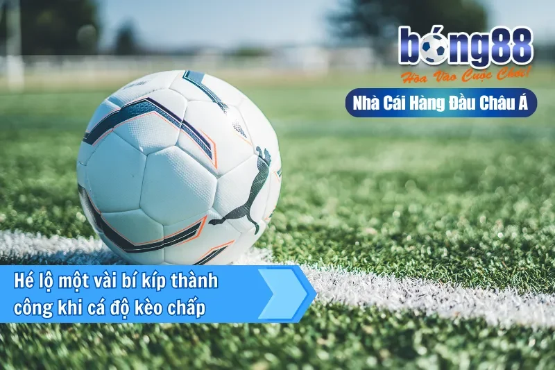 Kèo Châu Á Là Gì? Cách Đọc, Bảng Tính Tiền & Kinh Nghiệm 2026 - sivox.website