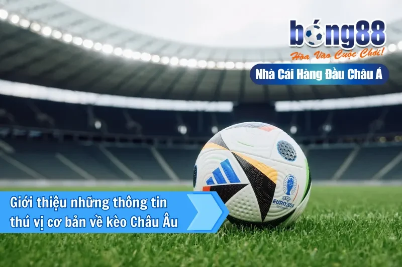 Kèo Châu Âu (1X2) Là Gì? Cách Đọc Tỷ Lệ & Chiến Thuật Khai Thác Cửa Hòa - sivox.website