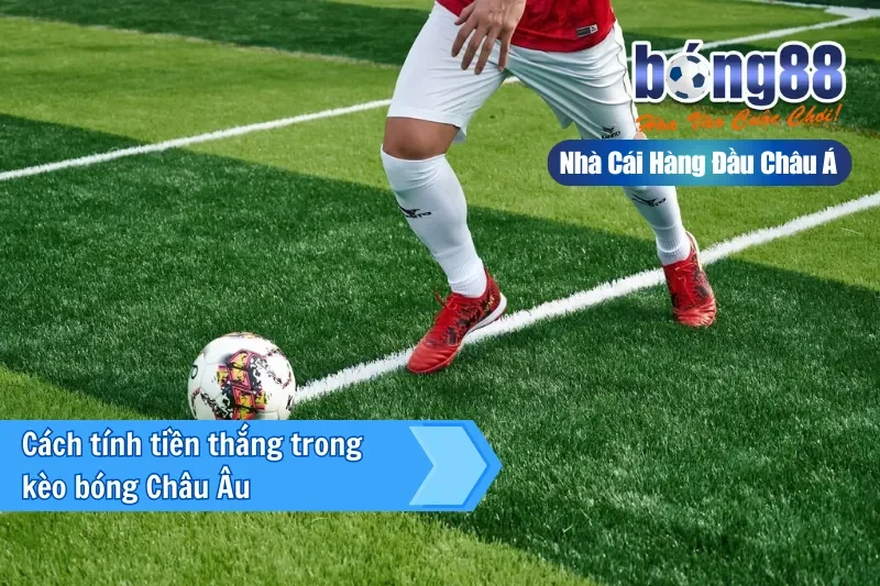 Kèo Châu Âu (1X2) Là Gì? Cách Đọc Tỷ Lệ & Chiến Thuật Khai Thác Cửa Hòa - sivox.website