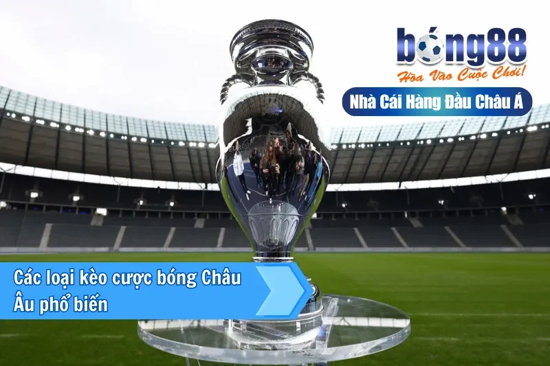 Kèo Châu Âu (1X2) Là Gì? Cách Đọc Tỷ Lệ & Chiến Thuật Khai Thác Cửa Hòa - sivox.website