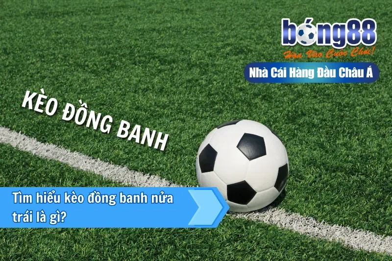 Kèo Đồng Banh Nửa Trái (0.25) Là Gì? Cơ Chế Chia Đôi & Bảng Kịch Bản - sivox.website Kèo Đồng Banh Nửa Trái (0.25) Là Gì? Cơ Chế Chia Đôi & Bảng Kịch Bản - sivox.website
