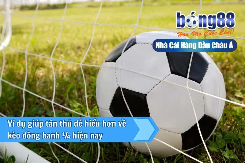 Kèo Đồng Banh Nửa Trái (0.25) Là Gì? Cơ Chế Chia Đôi & Bảng Kịch Bản - sivox.website Kèo Đồng Banh Nửa Trái (0.25) Là Gì? Cơ Chế Chia Đôi & Bảng Kịch Bản - sivox.website