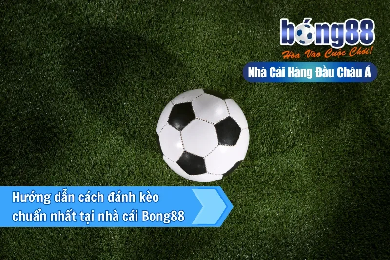 Kèo Giao Bóng Là Gì? Luật Tung Xu Mới & Vai Trò Đúng Của Kèo 50/50 - sivox.website