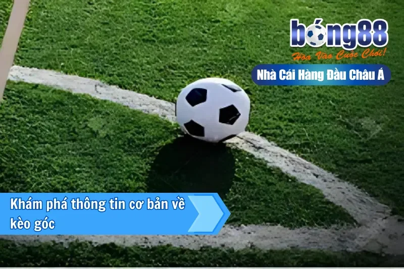 Kèo Góc (Phạt Góc) Là Gì? Cách Chơi, Dữ Liệu Phân Tích & Chiến Thuật Live - sivox.website