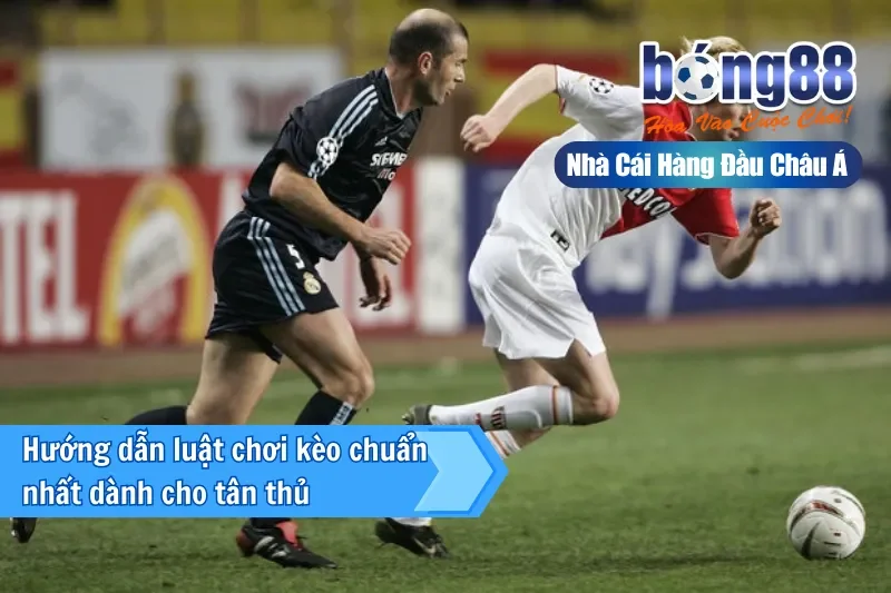 Kèo Lội Ngược Dòng Là Gì? Chiến Thuật Và Nhận Định Live Cùng Bong88 - sivox.website