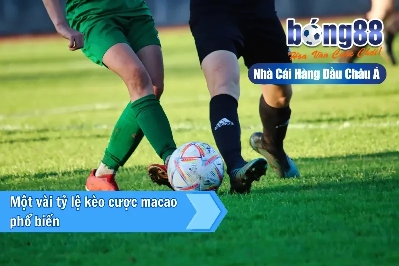 Kèo Macao (Hong Kong) Là Gì? Một Công Thức Đọc Mọi Bảng Kèo Bong88 - sivox.website Kèo Macao (Hong Kong) Là Gì? Một Công Thức Đọc Mọi Bảng Kèo Bong88 - sivox.website