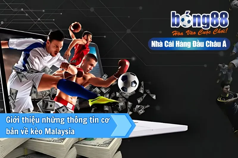 Kèo Malaysia Là Gì? Cách Đọc Tỷ Lệ & Bảng Tính Tiền Chi Tiết Bong88 - sivox.website