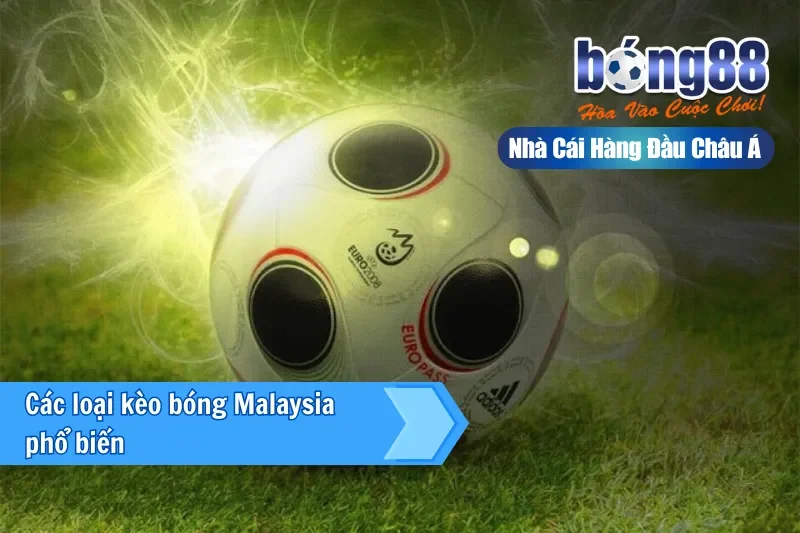 Kèo Malaysia Là Gì? Cách Đọc Tỷ Lệ & Bảng Tính Tiền Chi Tiết Bong88 - sivox.website