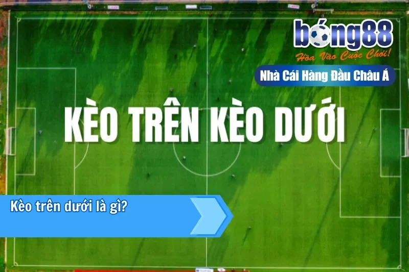 Kèo Trên Kèo Dưới Là Gì? Hiểu Đúng Vị Thế & Khai Thác Giá Trị Cửa Dưới - sivox.website