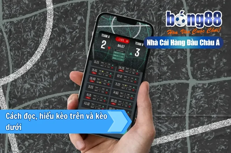 Kèo Trên Kèo Dưới Là Gì? Hiểu Đúng Vị Thế & Khai Thác Giá Trị Cửa Dưới - sivox.website