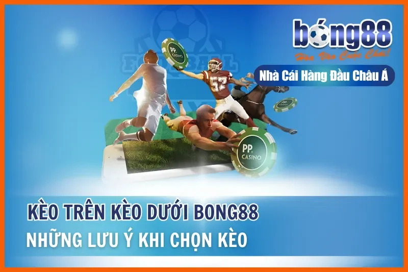 Kèo Trên Kèo Dưới Là Gì? Hiểu Đúng Vị Thế & Khai Thác Giá Trị Cửa Dưới - sivox.website