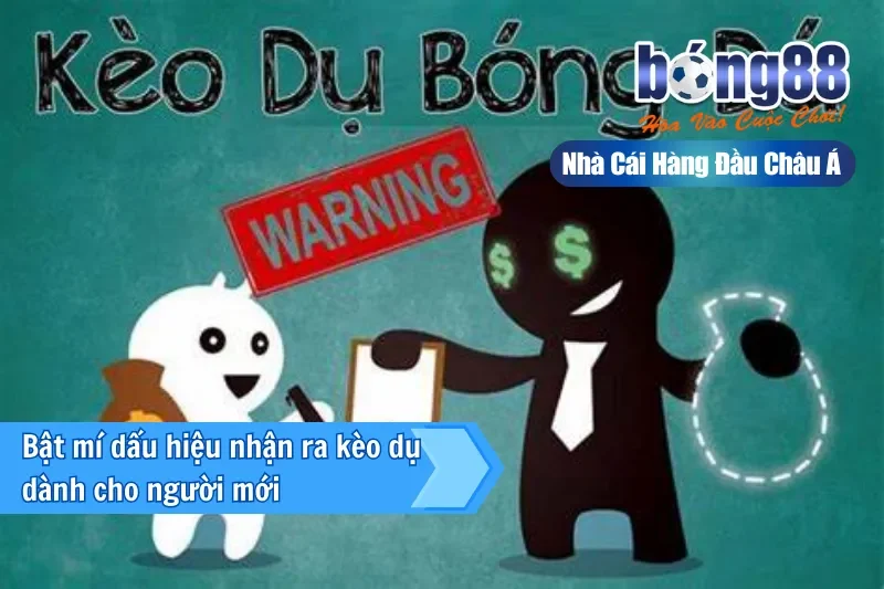 Kèo Tuồng Là Gì? 5 Dấu Hiệu Nhận Biết Kèo Dụ & Cách Né Mất Tiền Oan - sivox.website