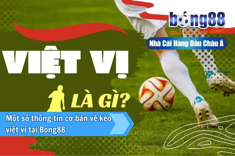Kèo Việt Vị Là Gì? Cơ Chế Chiến Thuật & Bộ Dữ Liệu Phân Tích Bong88 - sivox.website