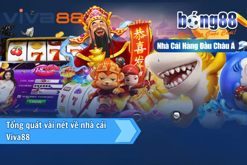 Đại Lý Viva88 — Kênh Bong88 Lâu Năm Nhất, Ủy Quyền Chính Thức Từ 2026 - sivox.website