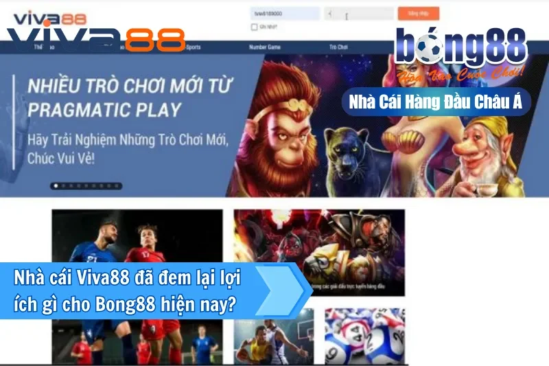 Đại Lý Viva88 — Kênh Bong88 Lâu Năm Nhất, Ủy Quyền Chính Thức Từ 2026 - sivox.website