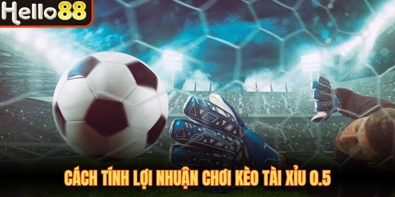 Kèo Tài Xỉu 0.5 - Thể Loại Cá Cược Bóng Đá Lợi Nhuận Tốt - sivox.website