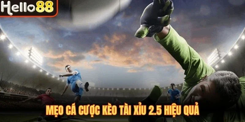 Kèo Tài Xỉu 2.5 - Hình Thức Cá Cược Bàn Thắng Hấp Dẫn - sivox.website