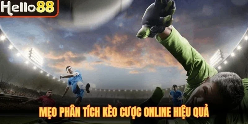 Kèo Tài Xỉu 0.5 - Thể Loại Cá Cược Bóng Đá Lợi Nhuận Tốt - sivox.website